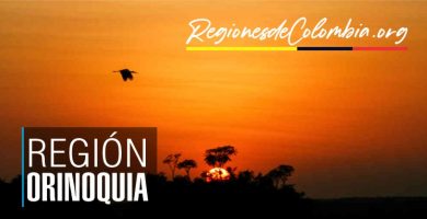 region de la orinoquia
