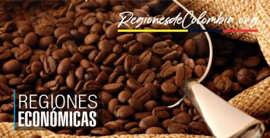 sectores economicos de colombia