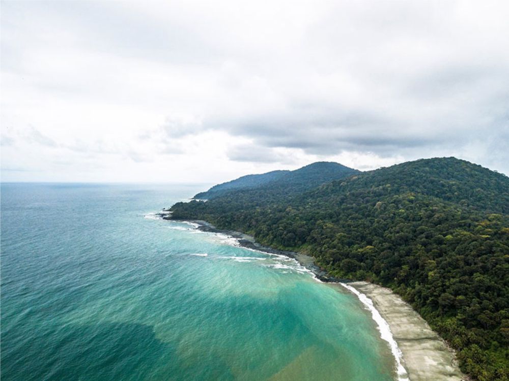 isla gorgona