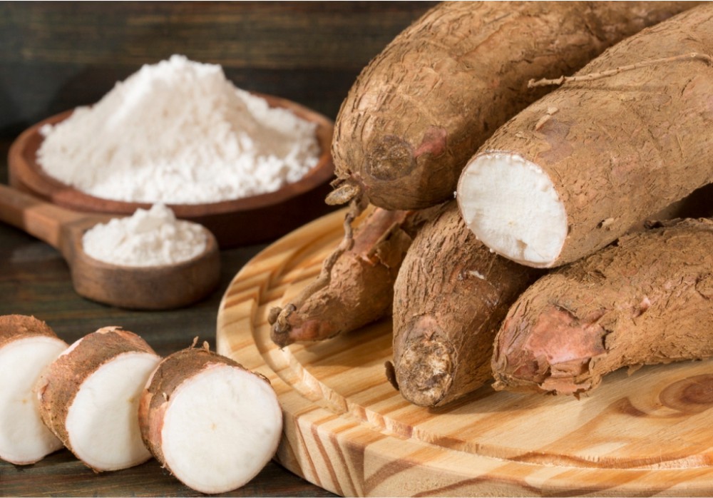 yuca en la region insular