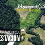 deforestacion en el amazonas