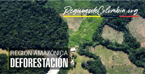 deforestacion en el amazonas