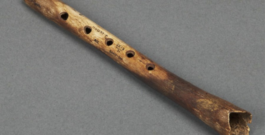 flauta amazonica