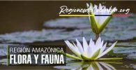 flora y fauna region amazonica